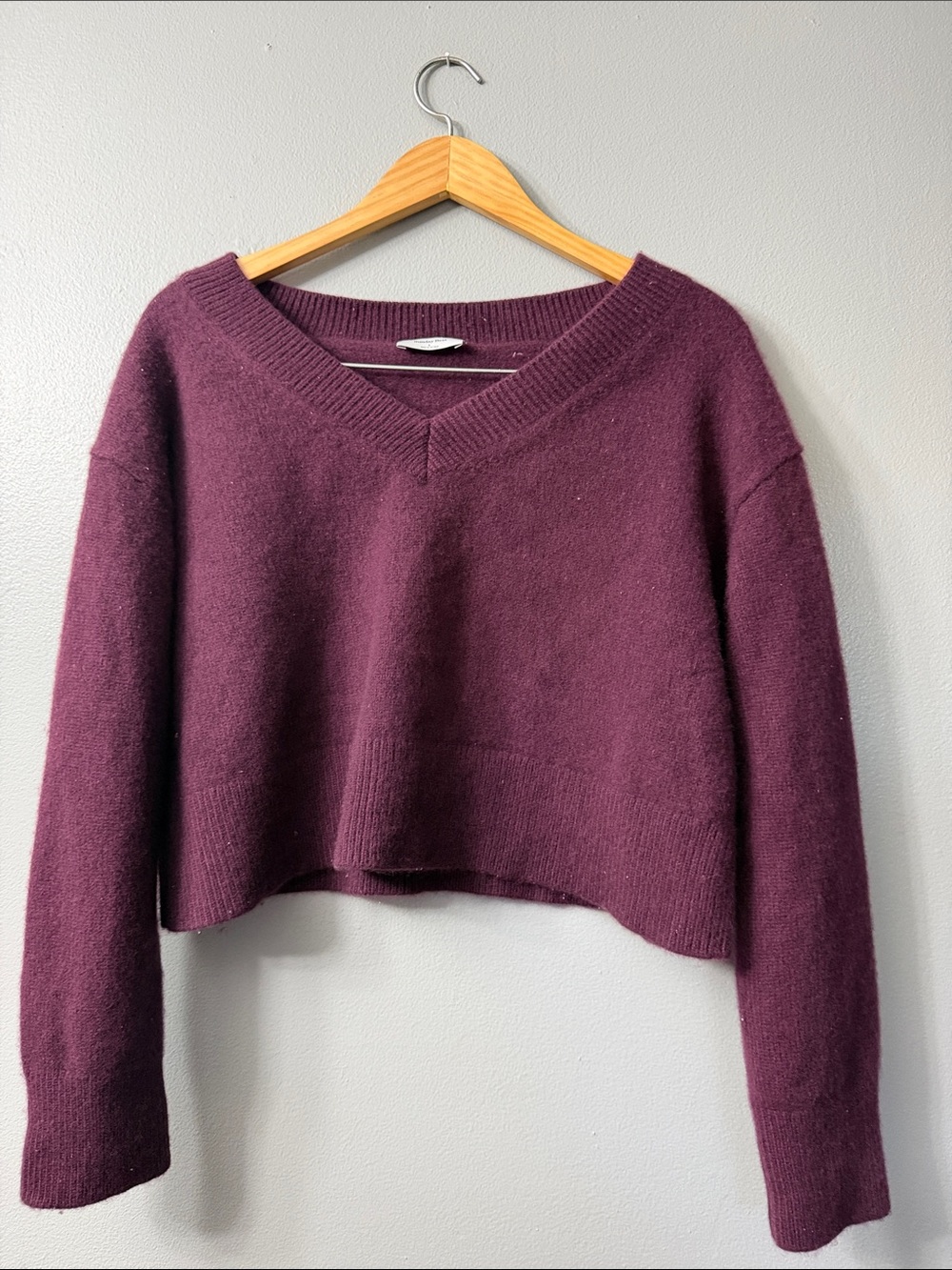 Aritzia sunday Best Merino wool V-neck sweater Cropped Sweater - Large